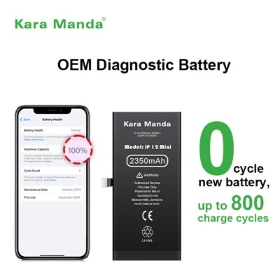 iPhone 12 Mini Diagnostic Battery